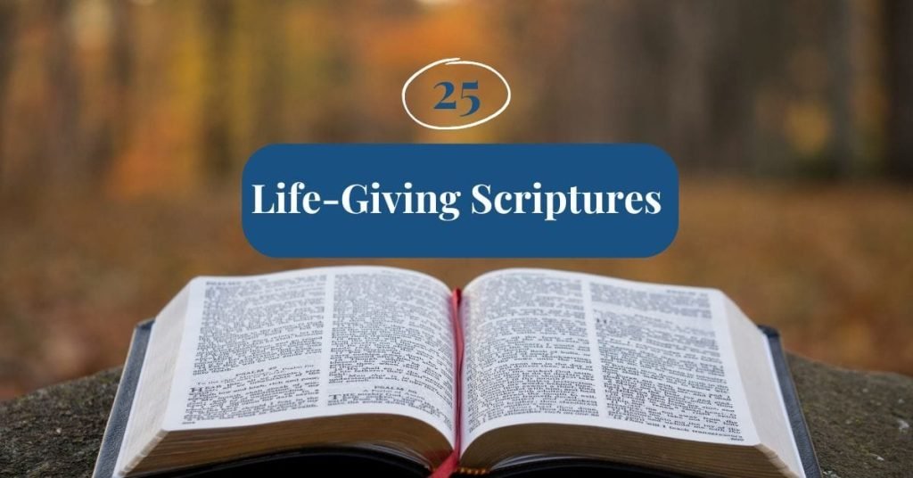 Open Bible outdoors with autumn colors, symbolizing live in God's grace and life-giving scriptures