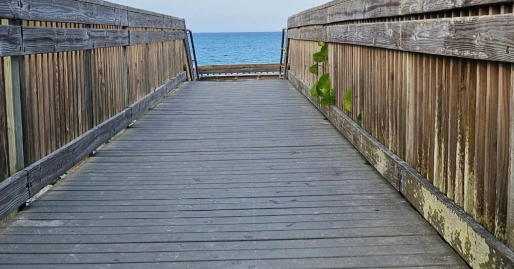 How to read Bible for spiritual walk